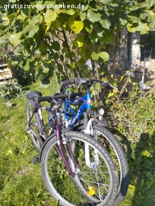 26 er Fahrräder zu verschenken. verschenke zwei 26 Jugendfahrräder