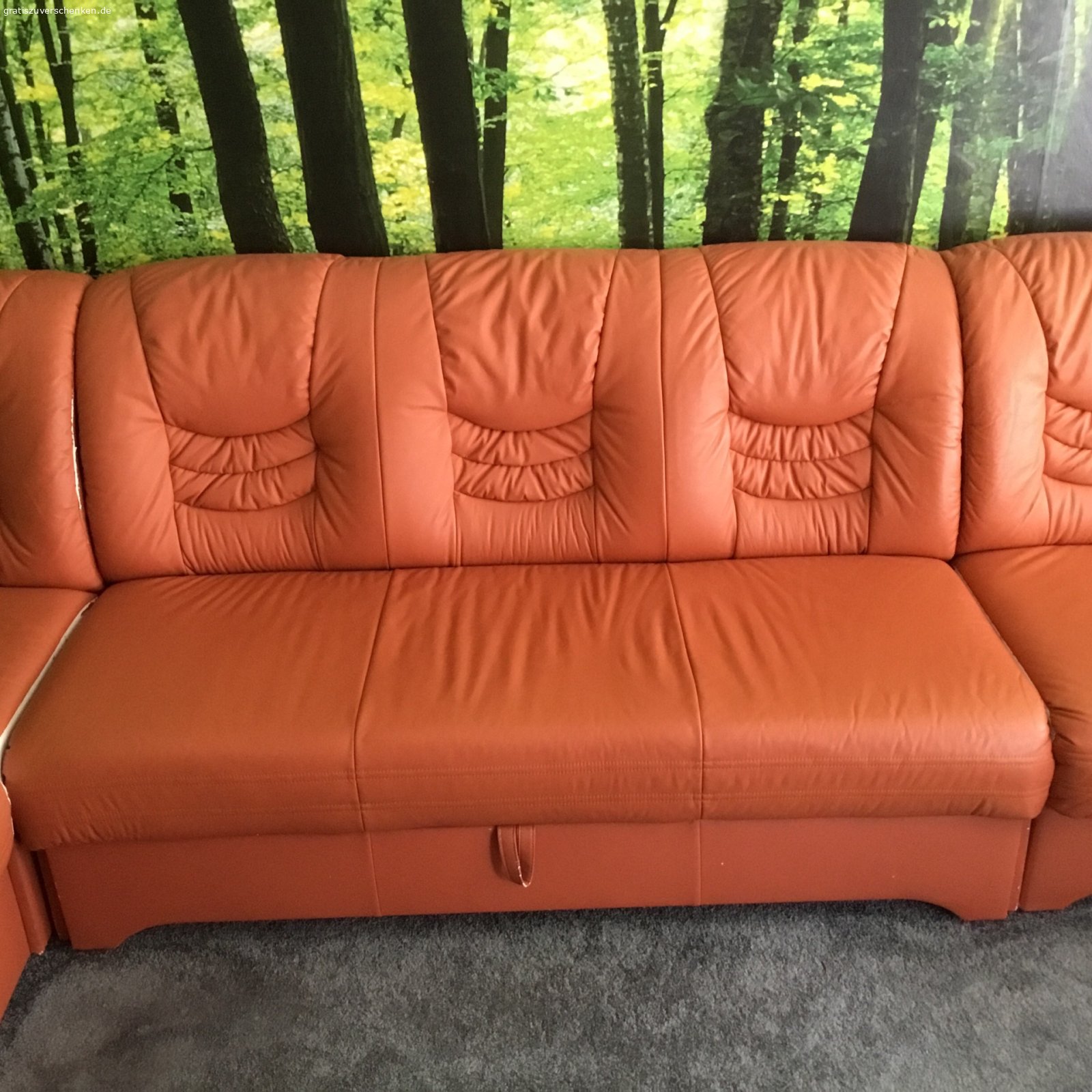 Ecksofa obermaterial. Ecksofa obermaterial Leder aus eine 3 Sitzer Sofa mit Bettfunction, eine 2Sitzer und die Ecksofa mit eine Aufbewahrung Möglichkeit .