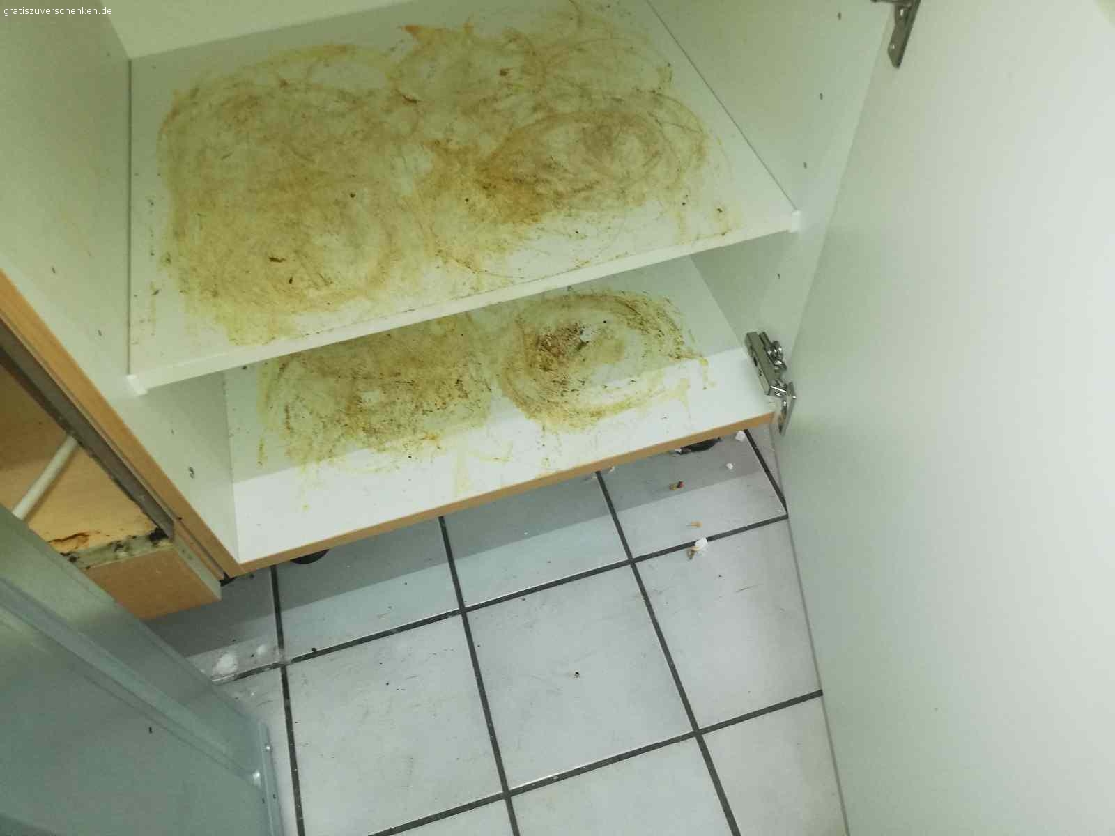 Küche zu verschenken. Hallo, gebe die Küche ab. 
Stand in der Wohnung von Vormieter. 
Muss alles richtig sauber gemacht werden. 
Kochplatte hat riß, backofen funktioniert, hab versuch mit scheuer Milch sauber zu machen schaffe leider nicht, weil ich schwanger bin. Sonst funktioniert alles gut. 
Wenn jemand die Küche anschauen möchte, kann sich gerne bei mir melden. 
Ohne spulmaschine. 
Nur komplette Küche abzugeben.