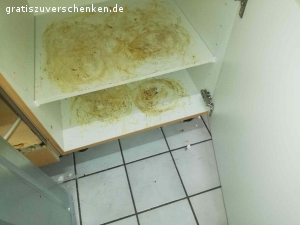 Küche zu verschenken. Hallo, gebe die Küche ab. 
Stand in der Wohnung von Vormieter. 
Muss alles richtig sauber gemacht werden. 
Kochplatte hat riß, backofen funktioniert, hab versuch mit scheuer Milch sauber zu machen schaffe leider nicht, weil ich schwanger bin. Sonst funktioniert alles gut. 
Wenn jemand die Küche anschauen möchte, kann sich gerne bei mir melden. 
Ohne spulmaschine. 
Nur komplette Küche abzugeben.