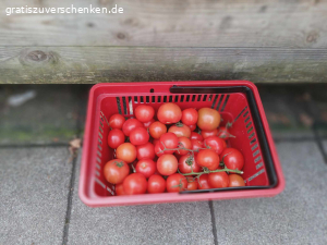 Lebensmittel