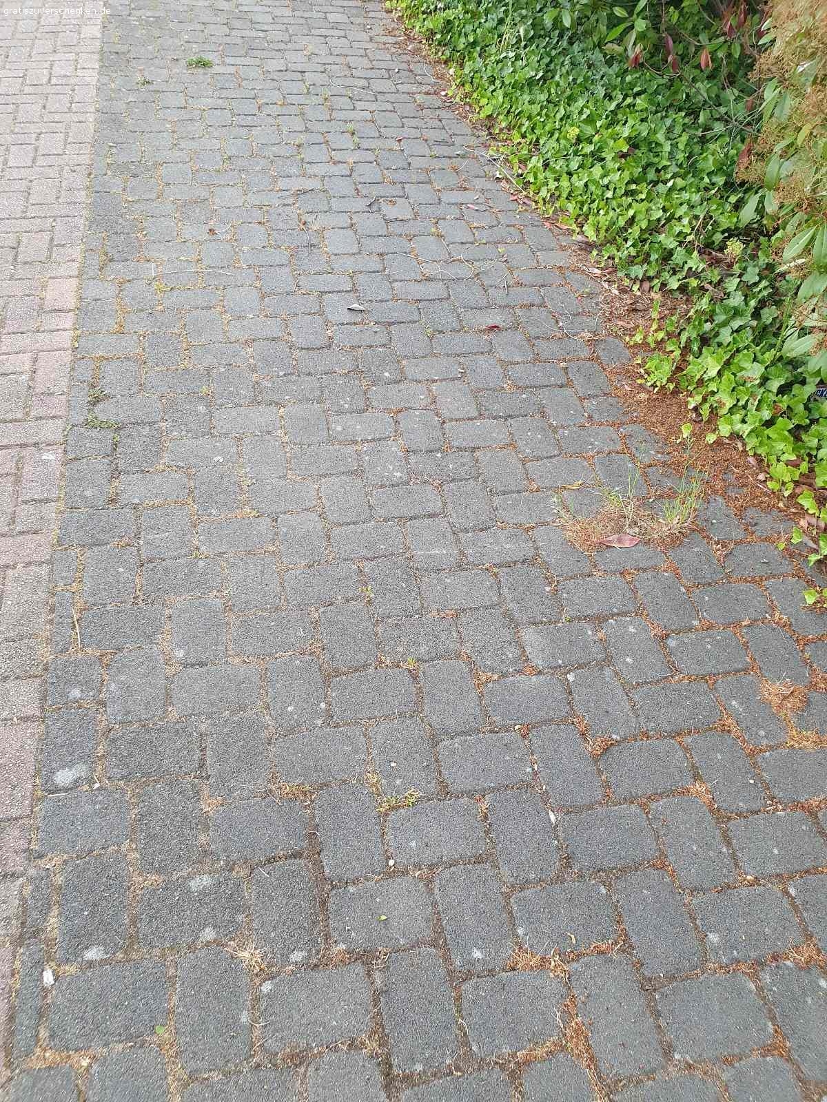 Pflastersteine zu verschenken - top Zustand. Zu verschenken:

Beton Pflastersteine,
Sofort verfügbar wäre die Fläche von 3 Parkplätzen,
über 30qm + diverse Teilsteine stehen bereits ausgebaut und abholbereit direkt am Straßenrand. etwa 14qm sind hellgrau, die übrigen anthrazit bzw. dunkelgrau.  Die Dunkelgrauen sind etwas moderner mit diesen Rillen an den Seiten. 
Die Steine sind ca.: 17,5cm * 11,5cm und ca. 8cm hoch.
zur Selbstabholung, bzw. weitere 15qm zum Selber ausbauen...
ich gebe gerne auch Teilmengen ab.

Die Steine sind völlig ok. An den Seiten noch etwas erdig, aber keine Abgesprungenen Kanten oder sonst was. Halten stabil auch schwere Lasten über Jahrzehnte aus :-) ... wir brauchen nur nicht mehr so viele Parkplätze und wandeln die Fläche in was Grünes um :-)

Es sind auch halbe und Viertelsteine dabei. .. kann mal also ohne mühevolle Sägearbeiten direkt eine Fläche mit auslegen :-)

Abholung wäre in Langenfeld Nähe Hilden/Düsseldorf
..fast jede Zeit möglich, da ich eh im Homeoffice arbeite ...bzw. die Steine stehen ja eh am Straßenrand mit Kennzeichnung, das sie gerne mitgenommen werden dürfen :-)

..wir haben auch noch Gehwegplatten in 30cm * 30cm und 4,8cm hoch übrig, .. die sind aber teilweise mit etwas Mörtelresten an der Unterseite. Aber unter einem Gartenhaus oder als Gartenweg noch gut geeignet.