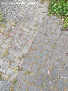 Pflastersteine zu verschenken - top Zustand. Zu verschenken:

Beton Pflastersteine,
Sofort verfügbar wäre die Fläche von 3 Parkplätzen,
über 30qm + diverse Teilsteine stehen bereits ausgebaut und abholbereit direkt am Straßenrand. etwa 14qm sind hellgrau, die übrigen anthrazit bzw. dunkelgrau.  Die Dunkelgrauen sind etwas moderner mit diesen Rillen an den Seiten. 
Die Steine sind ca.: 17,5cm * 11,5cm und ca. 8cm hoch.
zur Selbstabholung, bzw. weitere 15qm zum Selber ausbauen...
ich gebe gerne auch Teilmengen ab.

Die Steine sind völlig ok. An den Seiten noch etwas erdig, aber keine Abgesprungenen Kanten oder sonst was. Halten stabil auch schwere Lasten über Jahrzehnte aus :-) ... wir brauchen nur nicht mehr so viele Parkplätze und wandeln die Fläche in was Grünes um :-)

Es sind auch halbe und Viertelsteine dabei. .. kann mal also ohne mühevolle Sägearbeiten direkt eine Fläche mit auslegen :-)

Abholung wäre in Langenfeld Nähe Hilden/Düsseldorf
..fast jede Zeit möglich, da ich eh im Homeoffice arbeite ...bzw. die Steine stehen ja eh am Straßenrand mit Kennzeichnung, das sie gerne mitgenommen werden dürfen :-)

..wir haben auch noch Gehwegplatten in 30cm * 30cm und 4,8cm hoch übrig, .. die sind aber teilweise mit etwas Mörtelresten an der Unterseite. Aber unter einem Gartenhaus oder als Gartenweg noch gut geeignet.