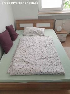 Schönes, gut erhaltenes Bett (1,40 × 2,00m). Ich verschenke dieses schöne und gut erhaltene Bett inklusive Lattenrost und Matratze. Das Bett müsste bei Abholung selbst abgebaut werden.