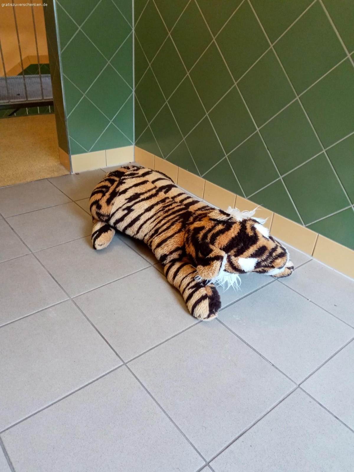 Zu verschenken. Ich verschenke den sehr gut erhaltenen großen Plüschtiger für Kinder. Top Zustand und kaum bespielt. Keine Mängel oder ähnliches. KANN BEI INTERESSE IN ILMENAU ABGEHOLT WERDEN,ES IST KEIN VERSAND MÖGLICH. BEI INTERESSE BITTE MELDEN. NUR AN SELBSTABHOLER ABZUGEBEN !!!! MÜSSTE AUS PLATZGRÜNDEN SCHNELLSTMÖGLICH ABGEHOLT WERDEN !!!! TIERFREIER UND NICHTRAUCHERHAUSHALT !!!! WER ZUERST KOMMT MALT ZUERST !!!! KEINE RESERVIERUNG !!!!